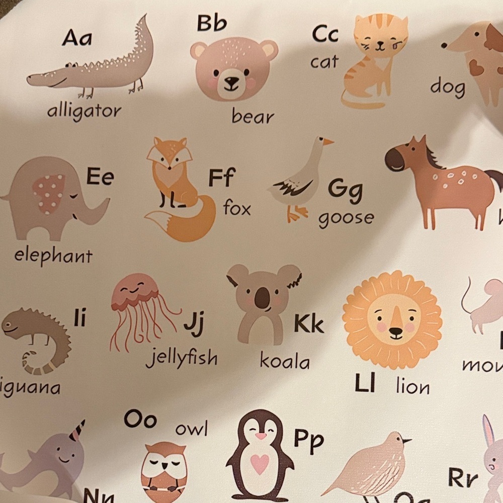 Animal Alphabet Educational Poster for Kids
